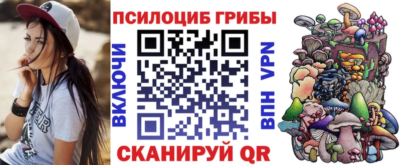 Галлюциногенные грибы Psilocybine cubensis  Купить  Воскресенск 